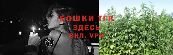 СК Зерноград