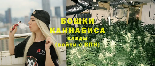 молекула духа Зеленокумск