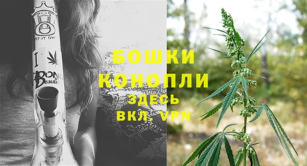 СК Зерноград
