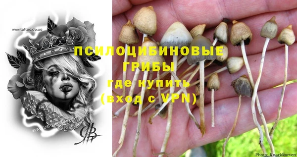 молекула духа Зеленокумск