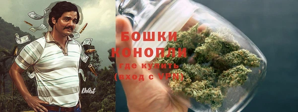 молекула духа Зеленокумск