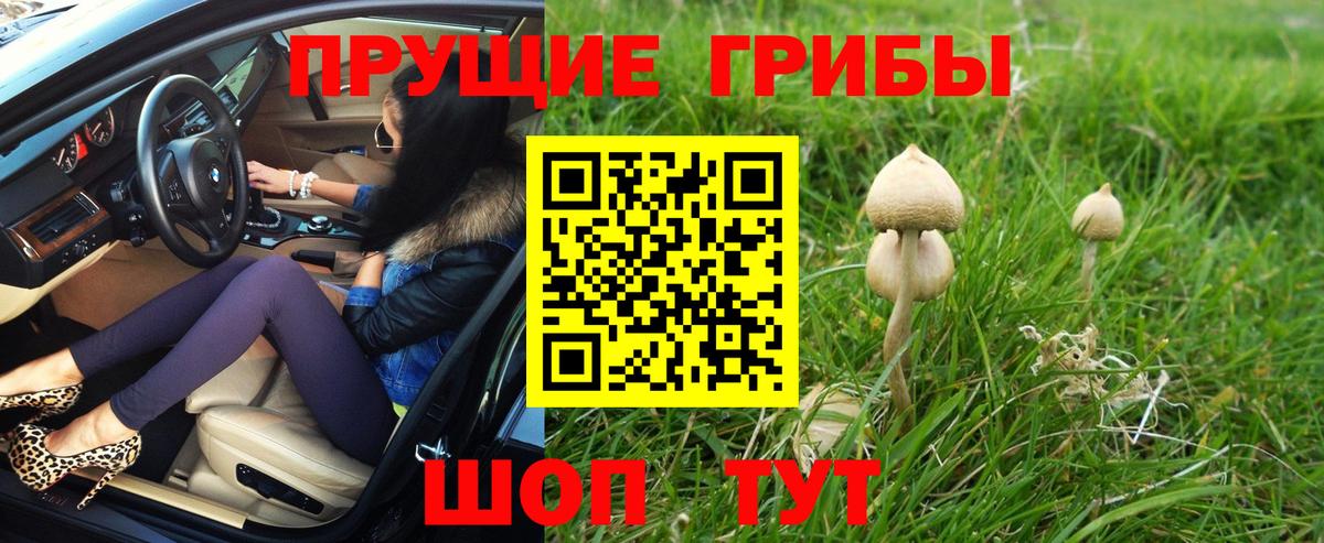 Псилоцибиновые грибы мицелий Шадринск