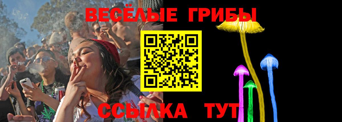 Шадринск  Псилоцибиновые грибы Cubensis  Вход с VPN  купить наркотик  Псилоцибиновые грибы мицелий 